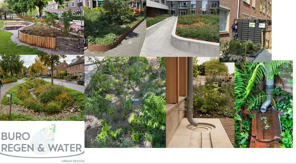 Binnentuinen de Alliantie Noord - foto 4
