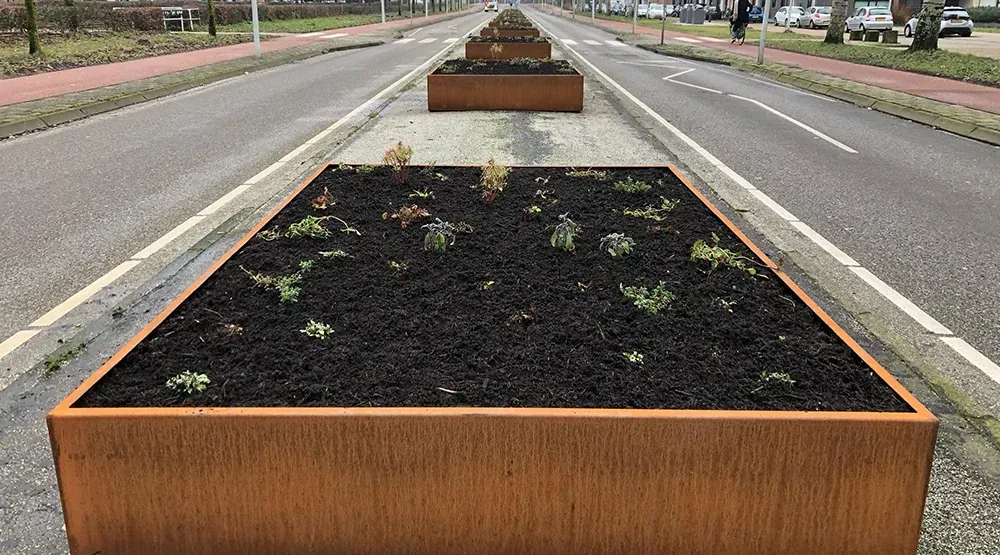 Groen Nieuw-West Coöperatie - foto