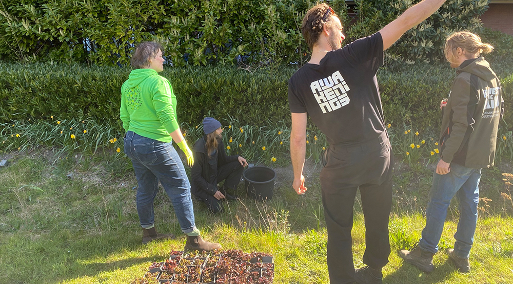 Groen Nieuw-West Coöperatie - foto