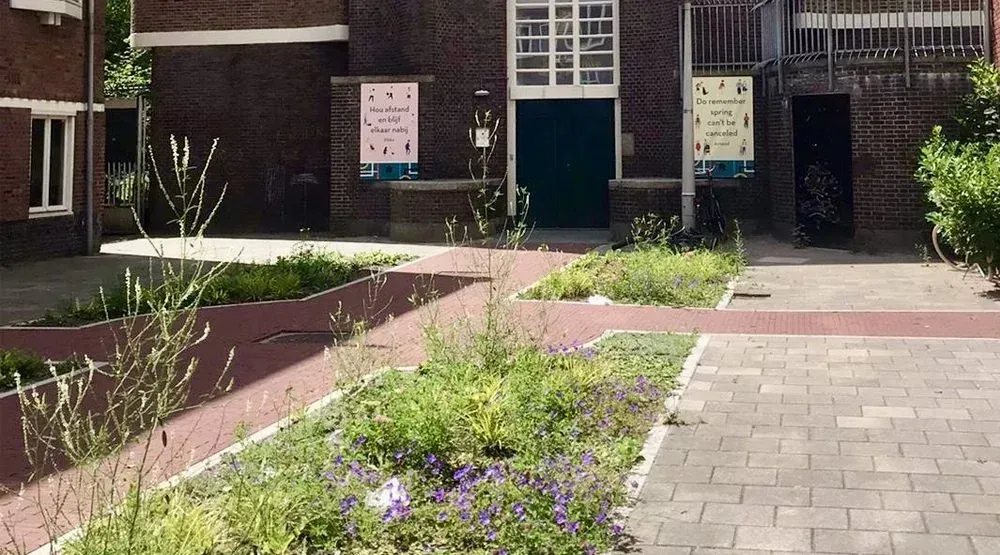 Water Vertragende Groenstroken Marco Poloplein - foto 2