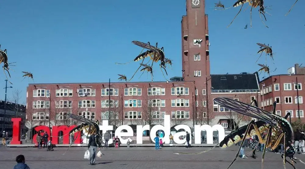 Project Muggenoverlast in de Baarsjes
