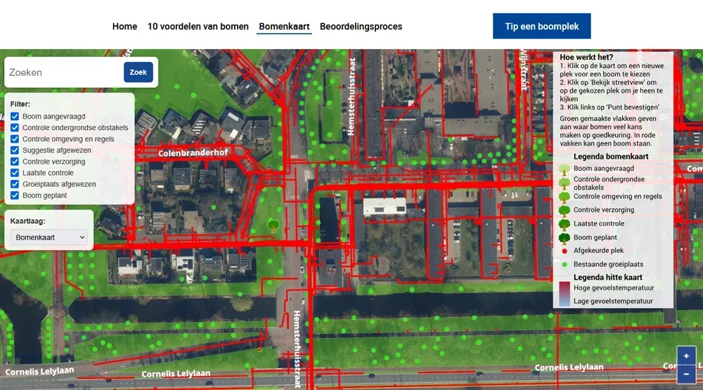 Nieuwe Bomen Amsterdam - foto 4