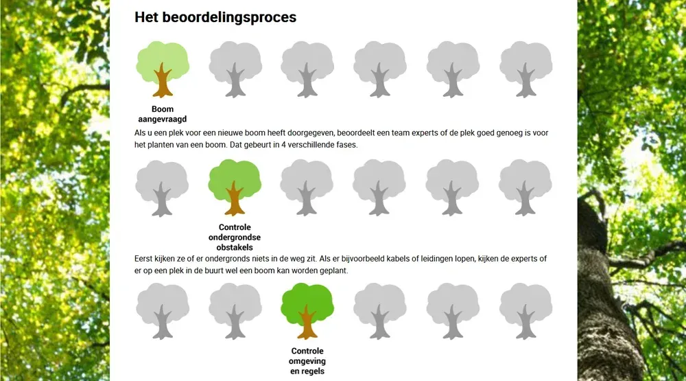Nieuwe Bomen Amsterdam - foto 5