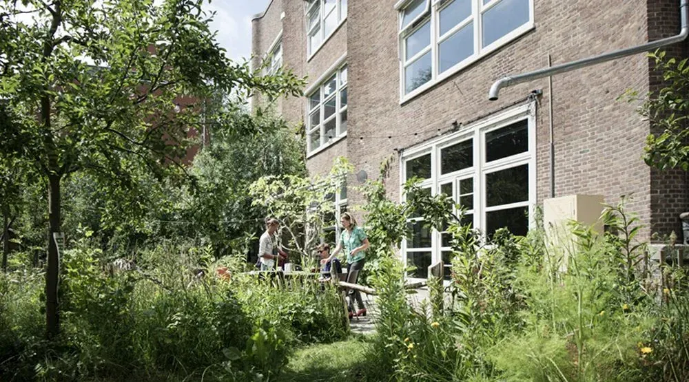 Regentuin MidWest - foto 4